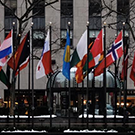 group of flags outside UN