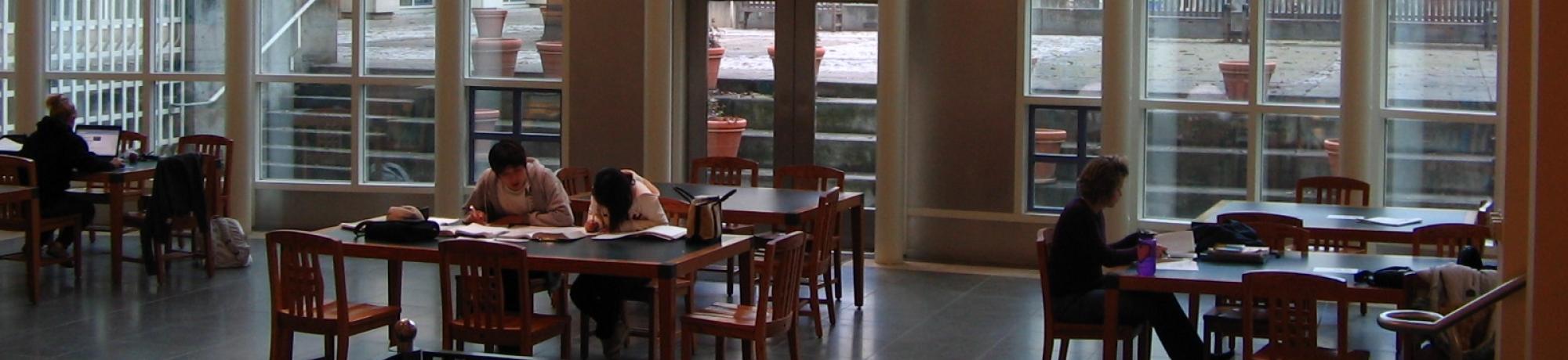 people in the library 
