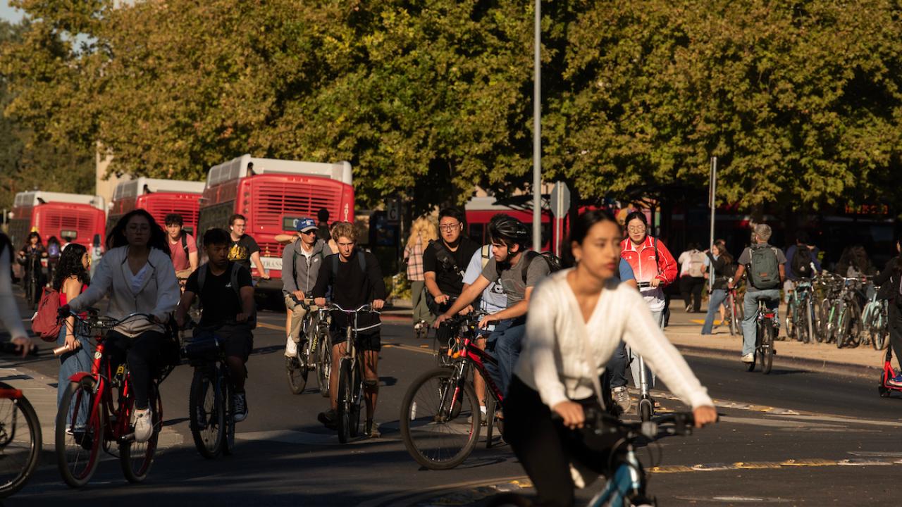 Several students ride their bikes on the UC Davis campus.