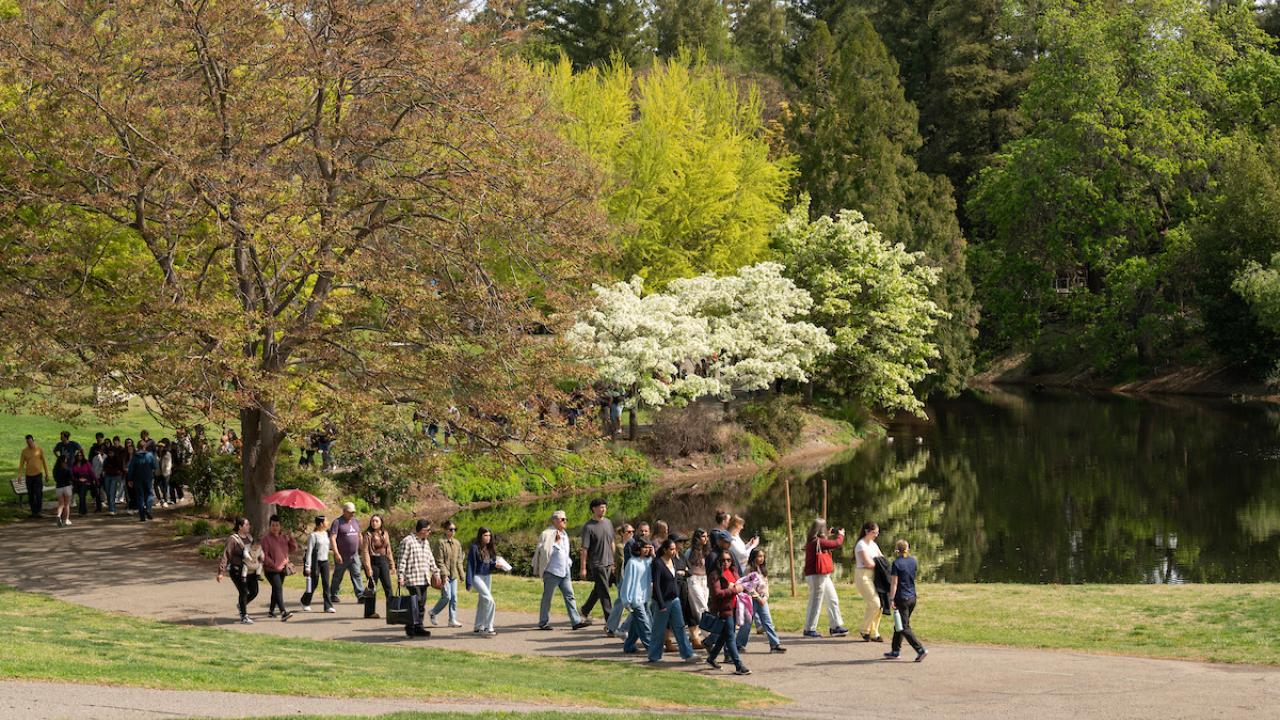 A group of people walk along the path in front of Lake Spafford in the UC Davis Arboretum. 