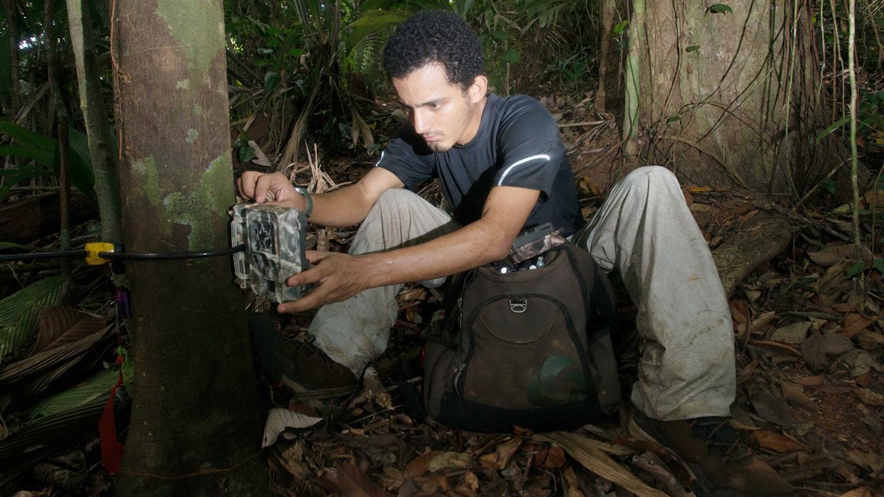 Claudio Monteza-Moreno pictured working in the forest