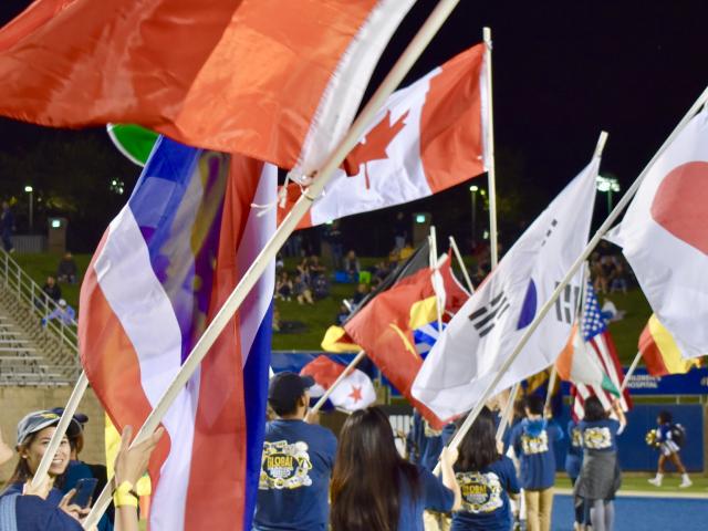 Flags