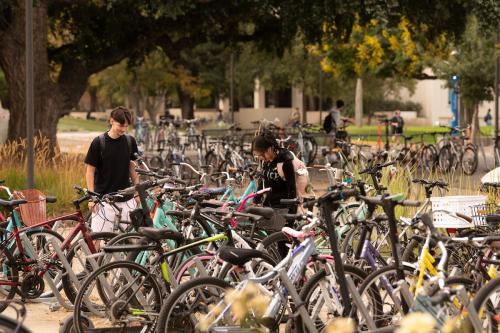 Two people search for their bicycles in a crowded bike rack on a sunny day.
