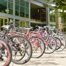 Bikes lined up outside of the International Center