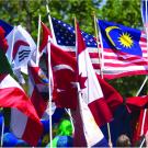 global flags 