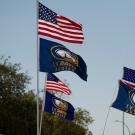 American flags and UC Davis Aggies flags fly in the breeze.