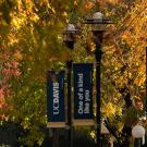 Light poles that have UC Davis banners with the wordmark and that read "one of a kind like you" surrounded by fall foliage. 