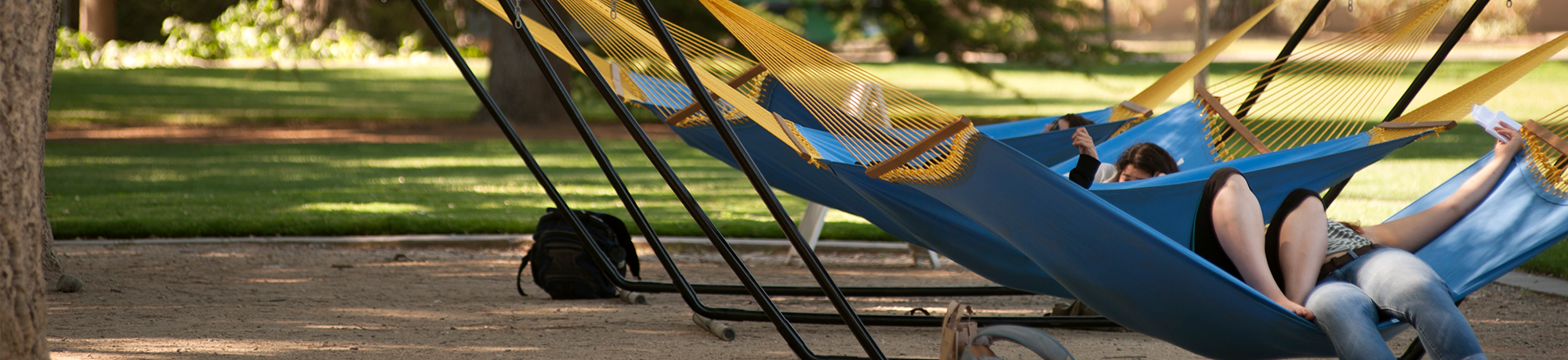 Hammocks on the Quad