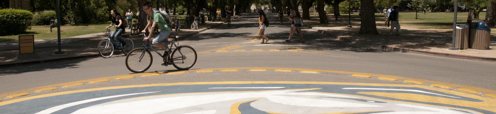 man biking in UC Davis bike circle 