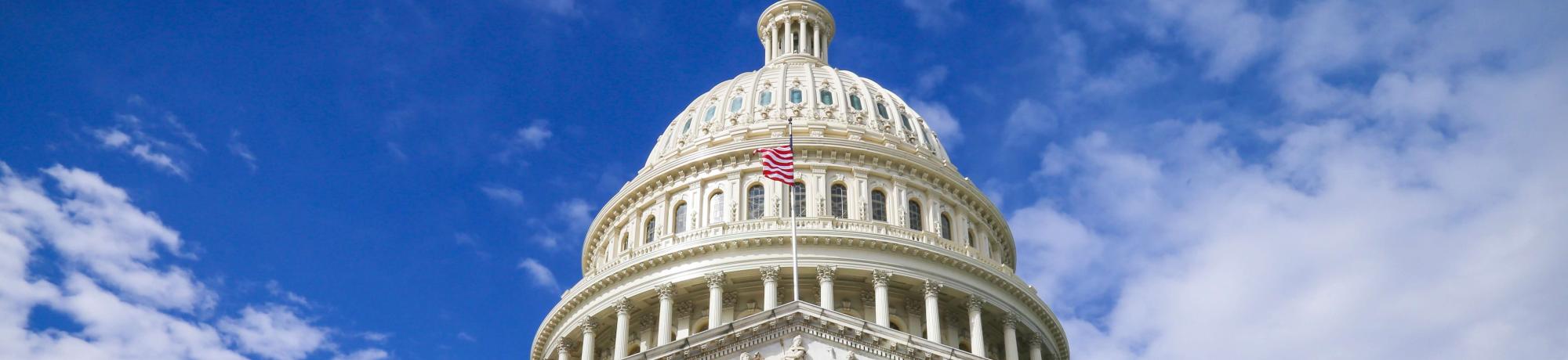 The Capitol