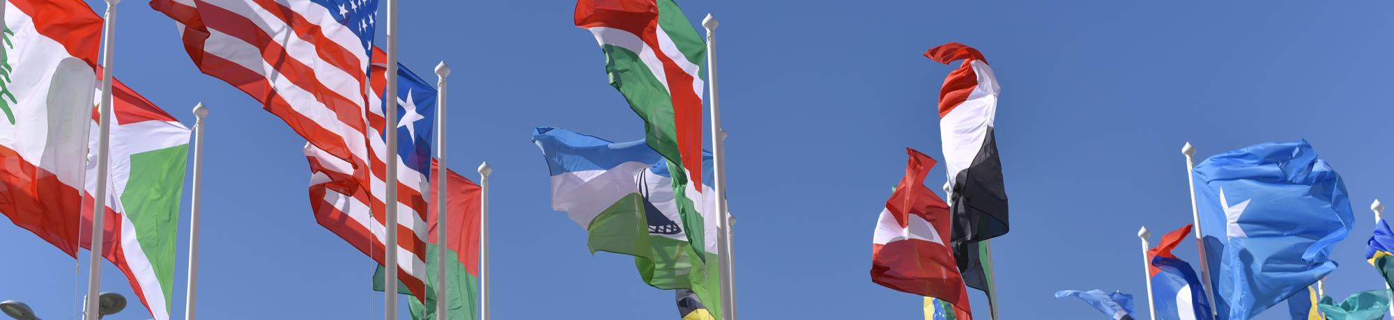 Flags waving in the sky
