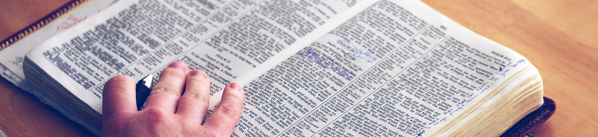 hand resting on a dictionary page
