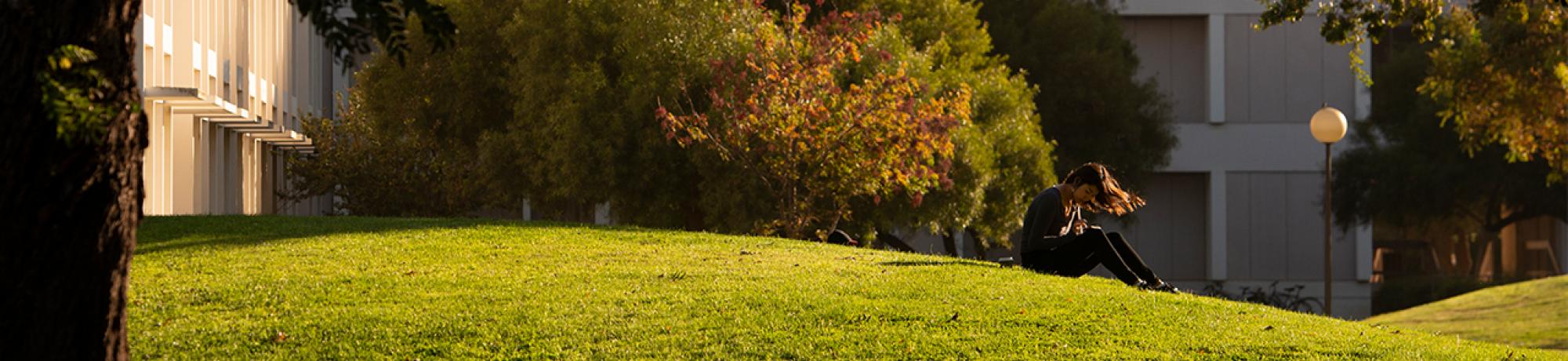 A student with long dark hair in a gray sweater and black pants reads her phone in the sun on a green hill outside Bainer Hall