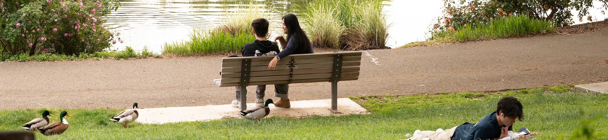 Two students sit on a bench over looking Lake Spafford and another student lays on their stomach in the grass behind them reading a book. Four ducks wander in the grass behind the bench.