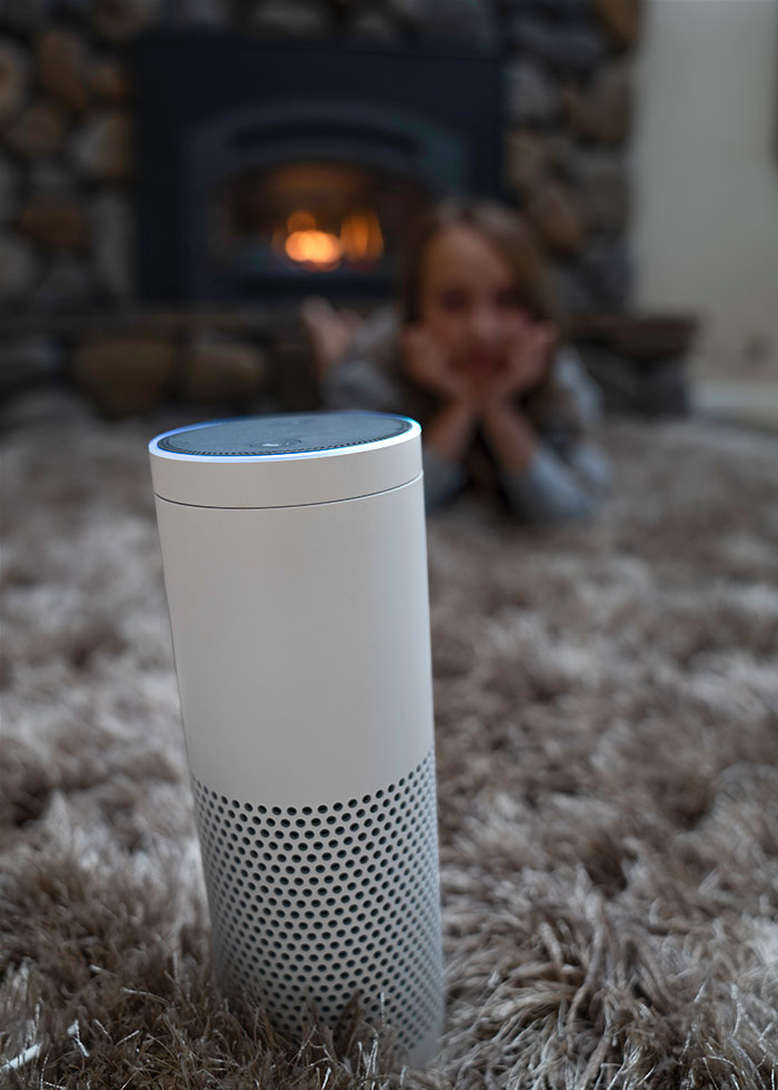 alexa hardware