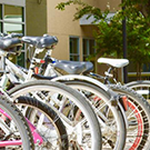 bikes