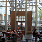 shields library interior