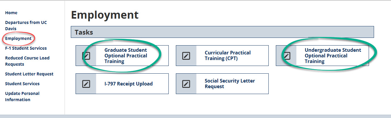 Screen capture from iGlobal to request an OPT I-20