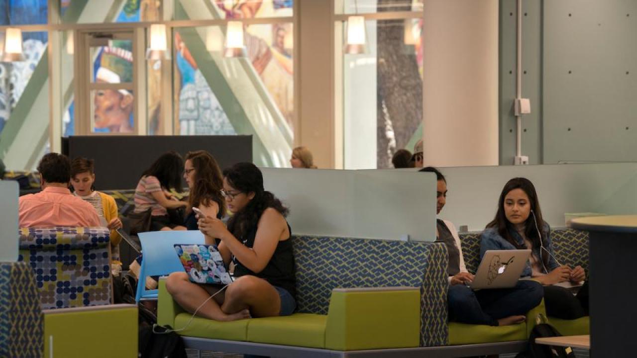 Students studying in the Memorial Union (Gregory Urquiaga/UC Davis) Students studying in the Memorial Union