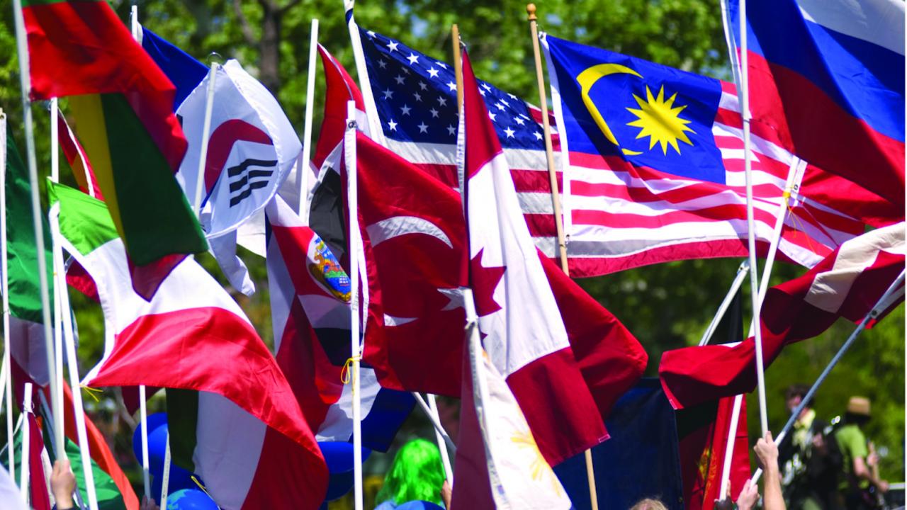 global flags